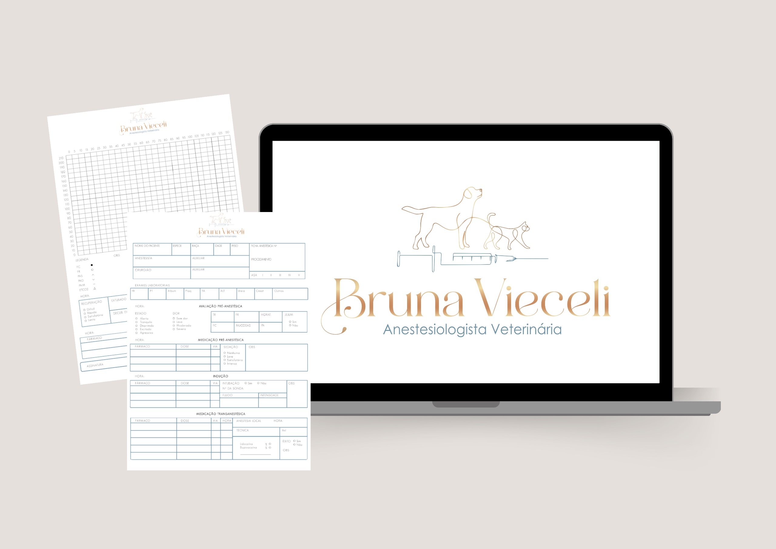 Logo + Design